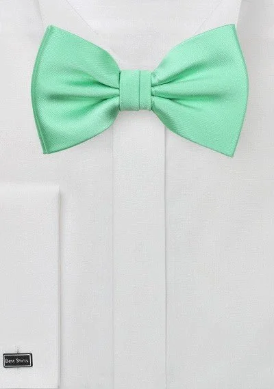 Men's Suits with Half-Canvas ConstructionsMint Solid Bowtie