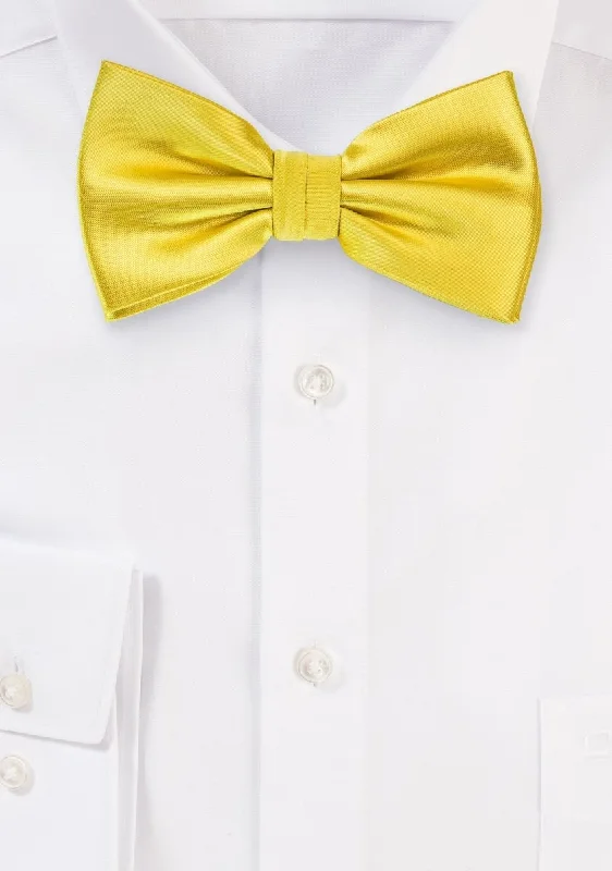 Luxurious Men's Silk-Lined SuitsSun Yellow Solid Bowtie